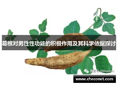 葛根对男性性功能的积极作用及其科学依据探讨