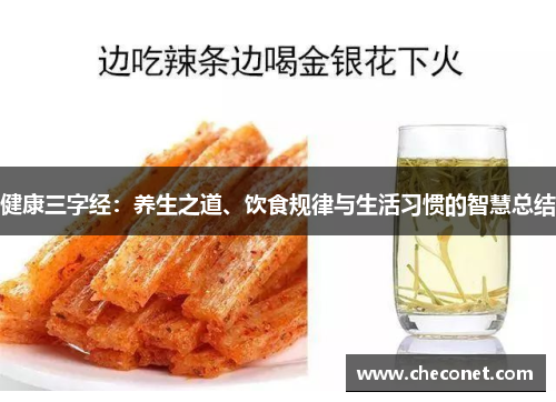 健康三字经：养生之道、饮食规律与生活习惯的智慧总结